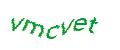 Captcha-Abbildung